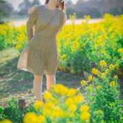 ヒメ日記 2026/03/07 17:13 投稿 かな 松戸角海老岩瀬店