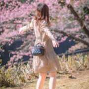 ヒメ日記 2026/03/08 08:18 投稿 かな 松戸角海老岩瀬店