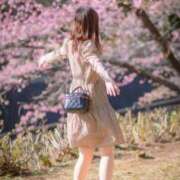 ヒメ日記 2026/03/21 12:23 投稿 かな 松戸角海老岩瀬店