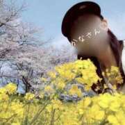 ヒメ日記 2026/04/09 08:03 投稿 かな 松戸角海老岩瀬店