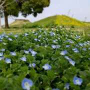 ヒメ日記 2026/04/15 09:03 投稿 かな 松戸角海老岩瀬店