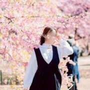 ヒメ日記 2026/04/19 08:49 投稿 かな 松戸角海老岩瀬店