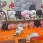 ヒメ日記 2026/08/23 15:46 投稿 らん IRIS(岐阜)