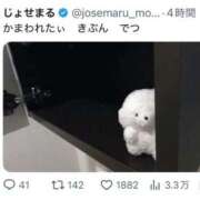 ヒメ日記 2026/08/31 03:11 投稿 らん IRIS(岐阜)