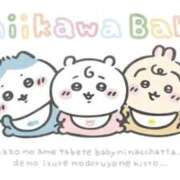 ヒメ日記 2026/03/06 10:48 投稿 おとは ワンダフル