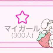 ヒメ日記 2026/03/24 12:19 投稿 おとは ワンダフル