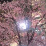 ヒメ日記 2026/03/27 14:08 投稿 おとは ワンダフル