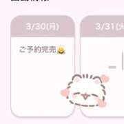 ヒメ日記 2026/03/30 09:19 投稿 おとは ワンダフル