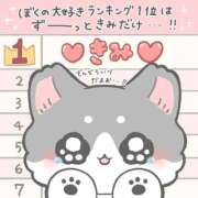 ヒメ日記 2026/04/12 11:28 投稿 おとは ワンダフル