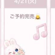 ヒメ日記 2026/04/21 07:18 投稿 おとは ワンダフル