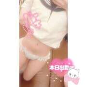 ヒメ日記 2026/03/31 08:00 投稿 みつき 新橋平成女学園