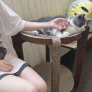 ヒメ日記 2026/04/21 12:35 投稿 ろん SEXIS-セクシーズ-