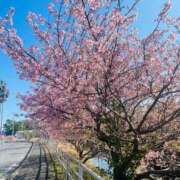 ヒメ日記 2026/03/13 08:16 投稿 【新人】えみり ごほうびSPA千葉店