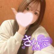 ヒメ日記 2026/03/18 09:30 投稿 はるか ドンファン