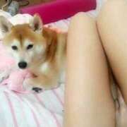 ヒメ日記 2026/03/20 12:09 投稿 亜美菜(あみな) エリートな人妻たち新宿