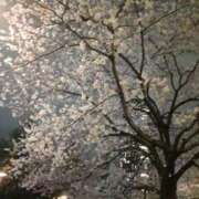 ヒメ日記 2026/04/04 12:19 投稿 亜美菜(あみな) エリートな人妻たち新宿