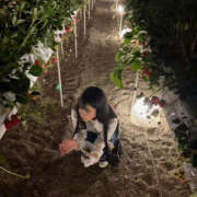 ヒメ日記 2026/04/11 03:23 投稿 アズ Club NANA 大阪