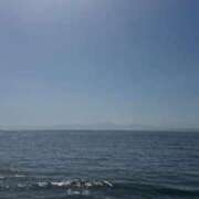 ヒメ日記 2026/04/14 21:30 投稿 まりか ごほうびSPA五反田店