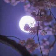 ヒメ日記 2026/03/21 21:31 投稿 ゆかり 宮城仙南ちゃんこ