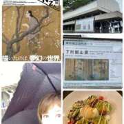 ヒメ日記 2026/04/26 14:03 投稿 ちさと 千葉人妻花壇
