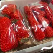 ヒメ日記 2026/03/30 21:12 投稿 神島れん グランエステ東京 品川（シンデレラグループ）