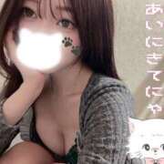 ヒメ日記 2026/04/11 19:42 投稿 神島れん グランエステ東京 品川（シンデレラグループ）