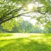 ヒメ日記 2026/03/12 04:10 投稿 ゆめ マリアージュ熊谷