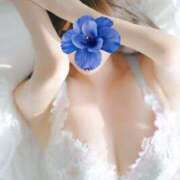 ヒメ日記 2026/03/29 12:00 投稿 松下なほ MIRAI TOKYO 六本木店