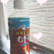 ヒメ日記 2026/03/14 13:51 投稿 みい 桜色学園