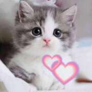 ヒメ日記 2026/04/03 22:01 投稿 さおり 金瓶梅-きんぺいぱい-