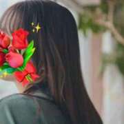 ヒメ日記 2026/04/09 07:39 投稿 さおり 金瓶梅-きんぺいぱい-