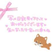 ヒメ日記 2026/05/23 20:41 投稿 さおり 金瓶梅-きんぺいぱい-