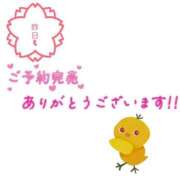 ヒメ日記 2026/05/25 05:39 投稿 さおり 金瓶梅-きんぺいぱい-