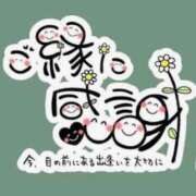 ヒメ日記 2026/08/05 12:56 投稿 さおり 金瓶梅-きんぺいぱい-