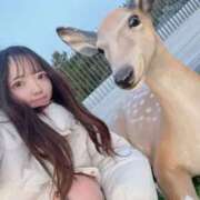 りあ りあ（エコ日本橋店） スピードエコ日本橋店