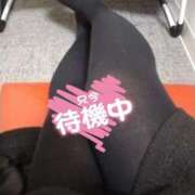 ヒメ日記 2026/03/12 15:26 投稿 佐野 熟女の風俗最終章　鶯谷店