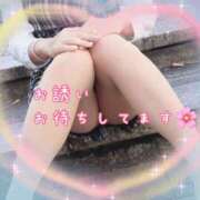 ヒメ日記 2026/03/07 08:19 投稿 せりな 逢って30秒で即尺