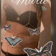 ヒメ日記 2026/04/01 09:45 投稿 古谷 真理恵 CASA BIANCA（カーサ・ビアンカ）