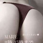ヒメ日記 2026/05/01 09:51 投稿 古谷 真理恵 CASA BIANCA（カーサ・ビアンカ）