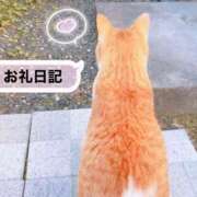 ヒメ日記 2026/10/14 02:59 投稿 うるは★UL対応 Blue Moon