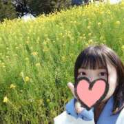 ヒメ日記 2026/04/05 13:02 投稿 うみ ぽちゃカワ女子専門店宇都宮店