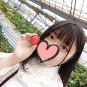 ヒメ日記 2026/04/10 08:52 投稿 うみ ぽちゃカワ女子専門店宇都宮店