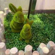 石丸　ほのか お礼です‧⁺ ⊹˚. 30・40・50代☆人妻熟女コレクション