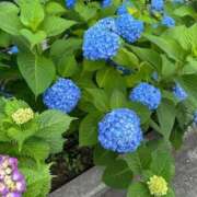 ヒメ日記 2026/05/20 21:21 投稿 月菜(つきな) グランドオペラ横浜