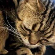 ヒメ日記 2026/03/07 17:02 投稿 みなみ Ace(エース)