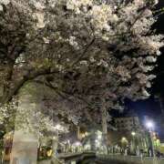 ヒメ日記 2026/04/07 03:44 投稿 りず Number Five 品川（シンデレラグループ）