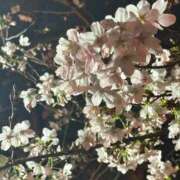 ヒメ日記 2026/04/09 08:46 投稿 まお オナクラ大人女子