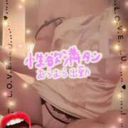 ヒメ日記 2026/04/09 18:33 投稿 藤咲　りえ 雅(みやび)