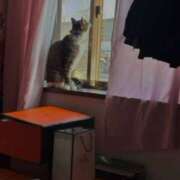 ヒメ日記 2026/04/18 10:02 投稿 メロンソーダのユメカ C級グル女　鶯谷店