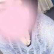 ヒメ日記 2026/04/14 11:08 投稿 みか 君とふわふわプリンセスin熊谷